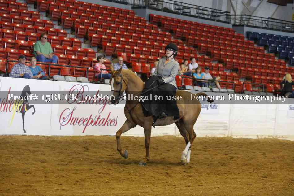 Proof 15BUCK_04800