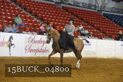 15BUCK_04800 proof