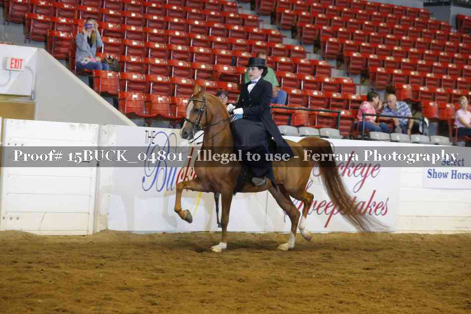 Proof 15BUCK_04801