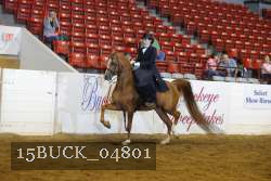 15BUCK_04801 proof