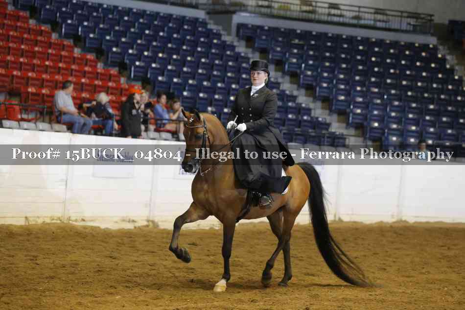 Proof 15BUCK_04804