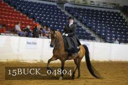 15BUCK_04804 proof