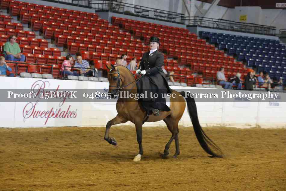 Proof 15BUCK_04805