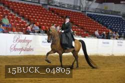 15BUCK_04805 proof