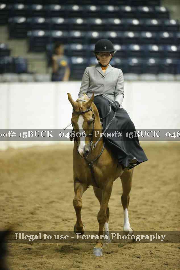Proof 15BUCK_04806