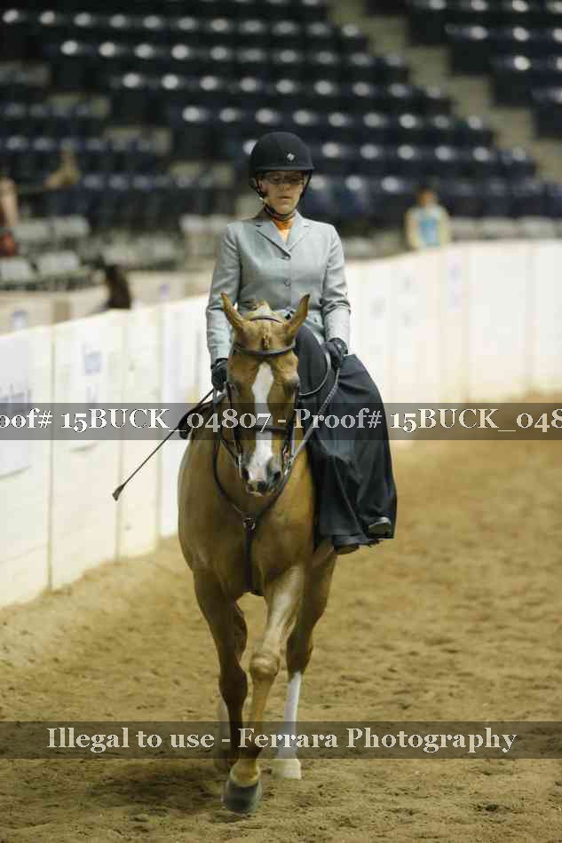 Proof 15BUCK_04807