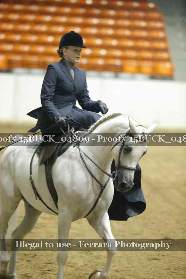 Proof 15BUCK_04809