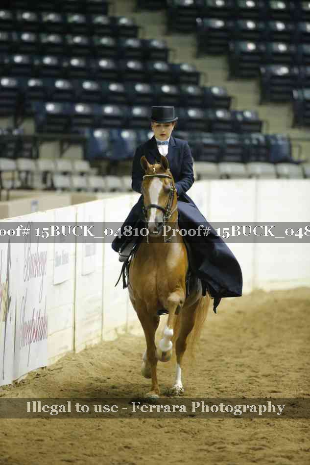 Proof 15BUCK_04810