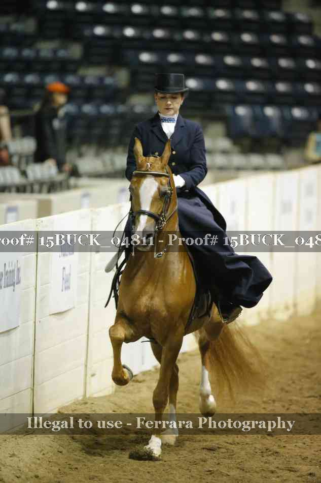 Proof 15BUCK_04811