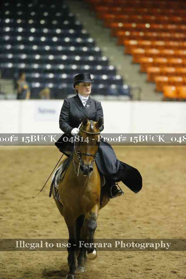 Proof 15BUCK_04814