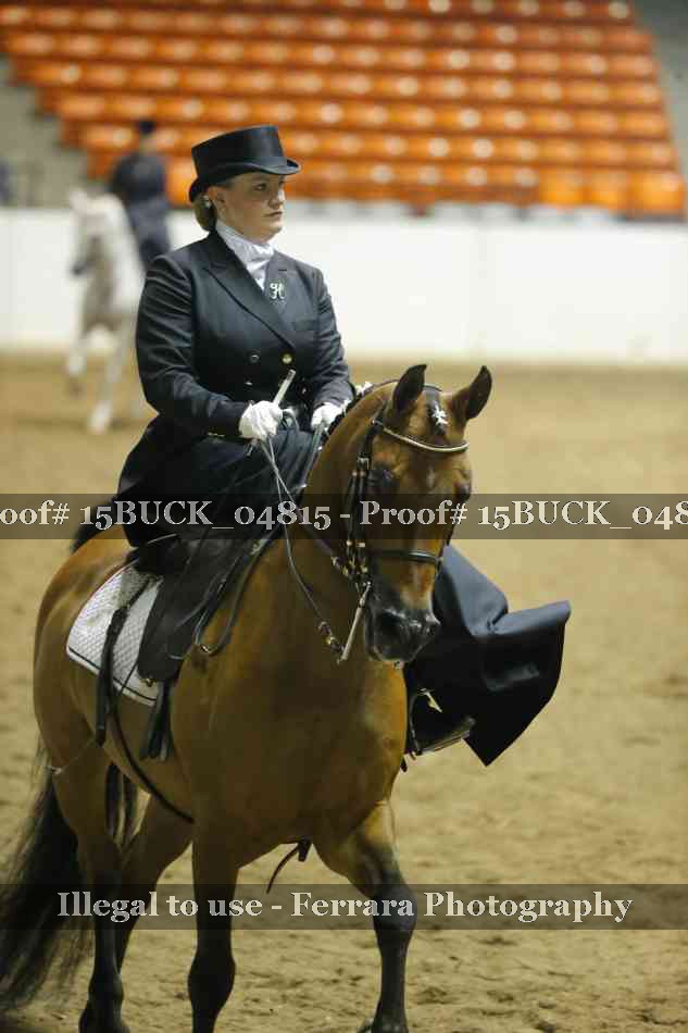 Proof 15BUCK_04815