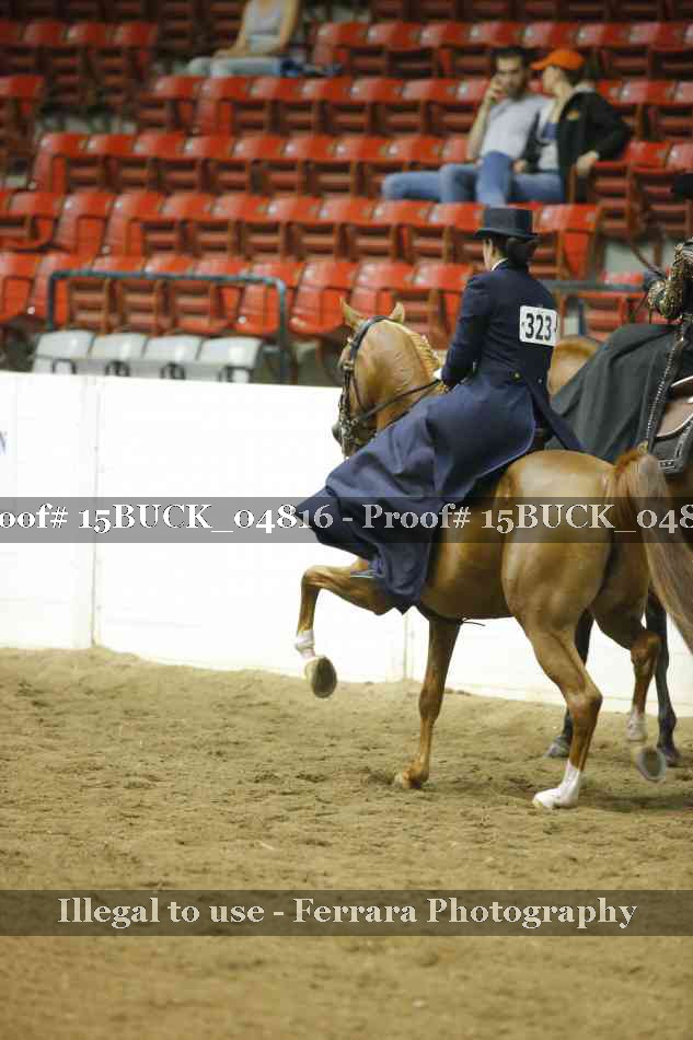 Proof 15BUCK_04816