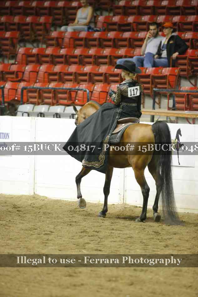 Proof 15BUCK_04817
