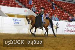 15BUCK_04820 proof