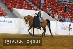 15BUCK_04821 proof