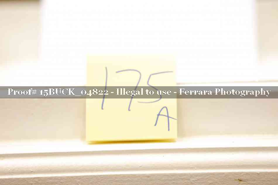 Proof 15BUCK_04822