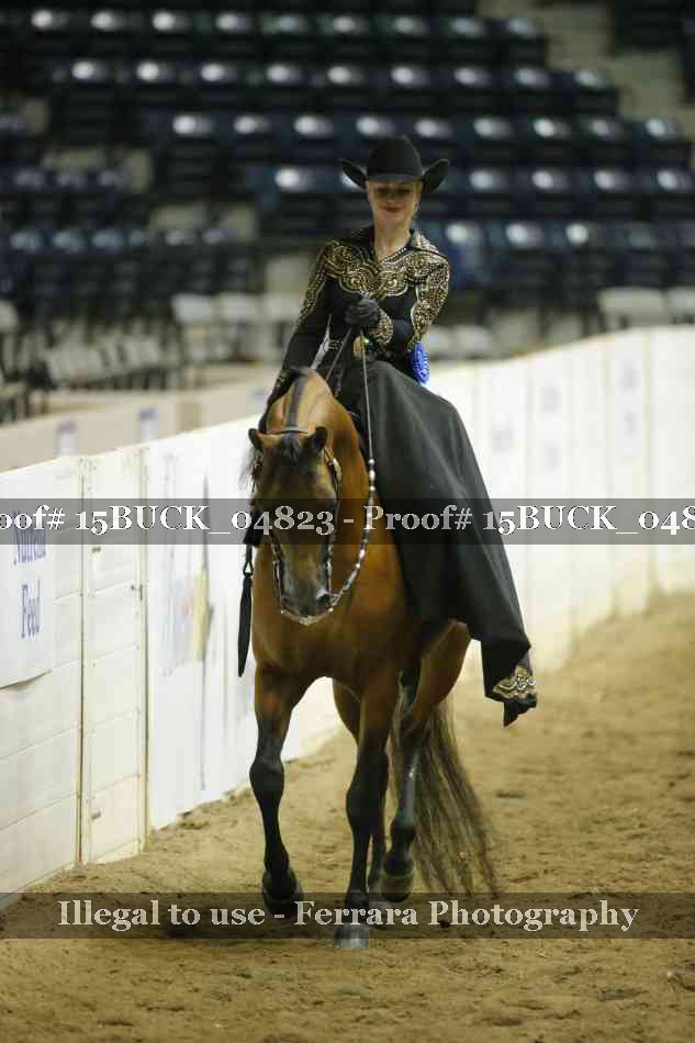 Proof 15BUCK_04823