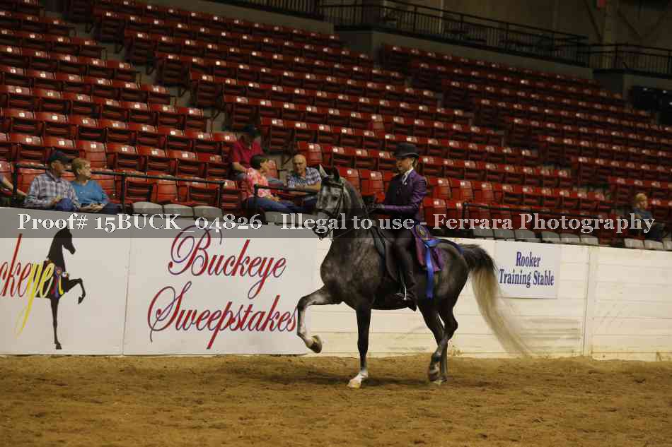 Proof 15BUCK_04826