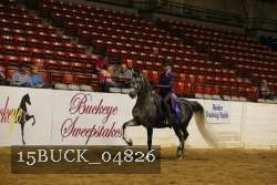 15BUCK_04826 proof