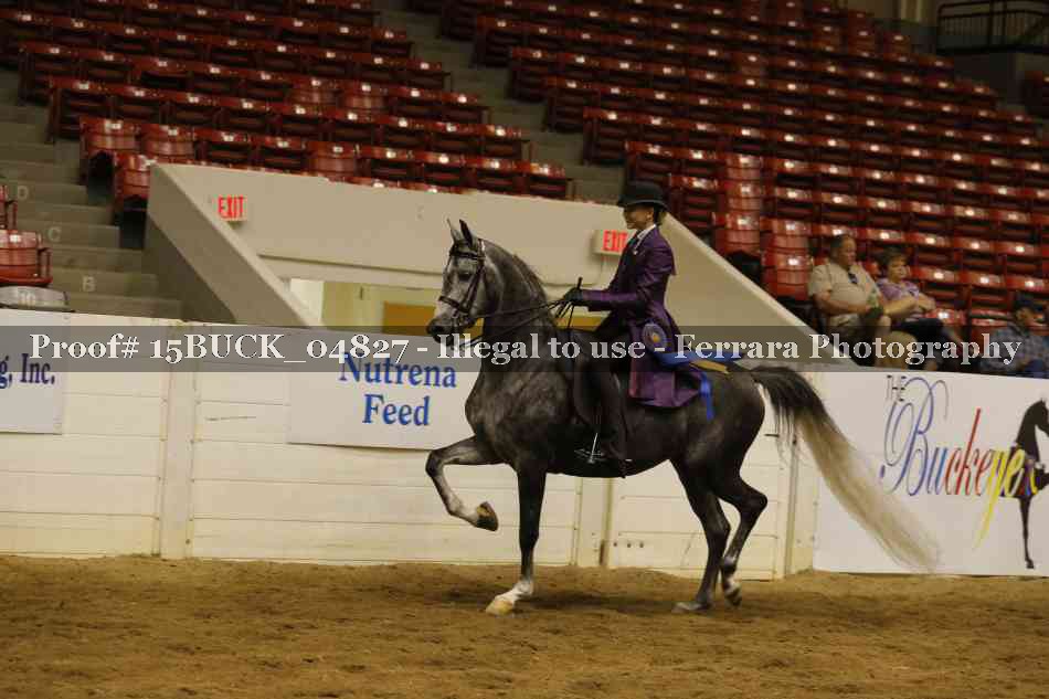 Proof 15BUCK_04827