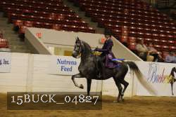 15BUCK_04827 proof