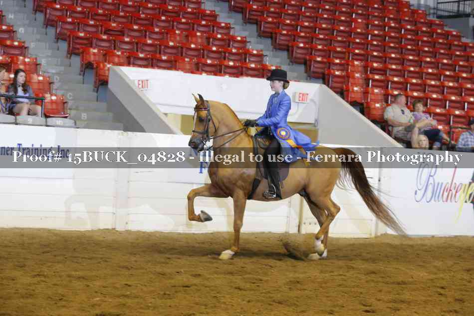 Proof 15BUCK_04828