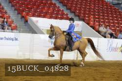 15BUCK_04828 proof