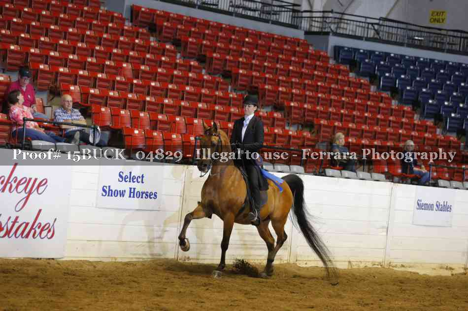 Proof 15BUCK_04829