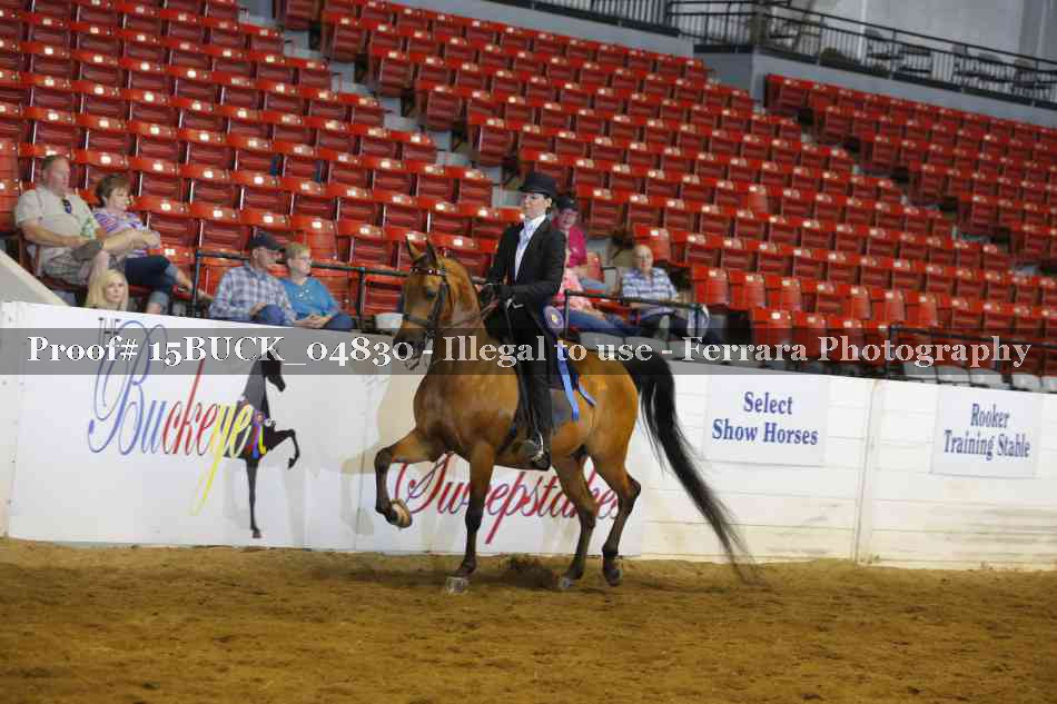 Proof 15BUCK_04830