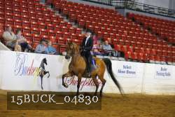 15BUCK_04830 proof