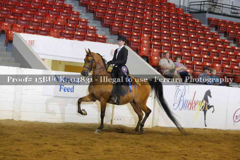 Proof 15BUCK_04831