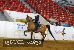 15BUCK_04831 proof