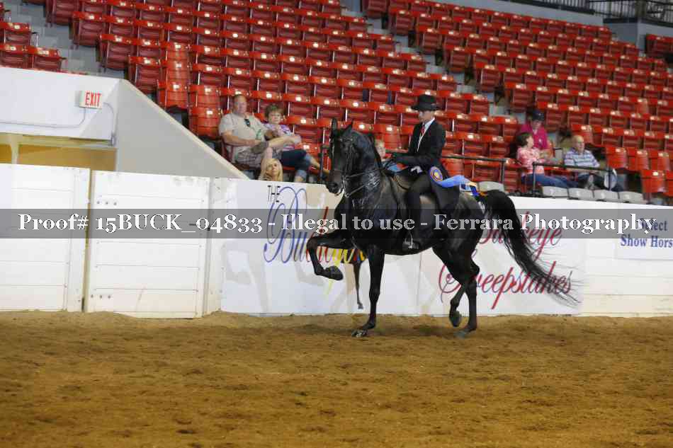 Proof 15BUCK_04833