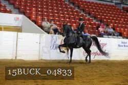 15BUCK_04833 proof