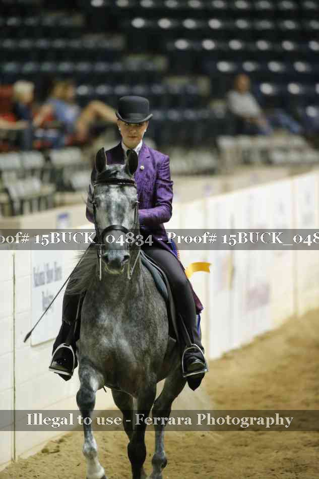 Proof 15BUCK_04834