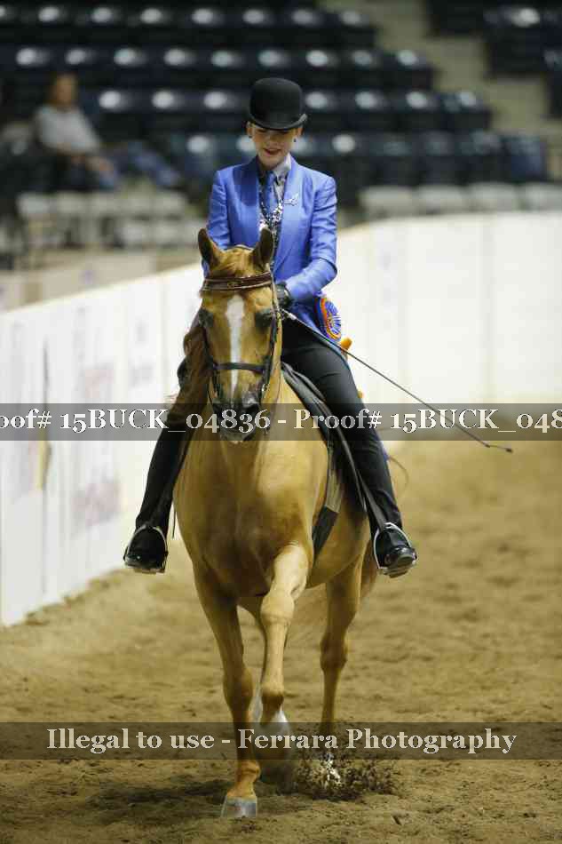 Proof 15BUCK_04836