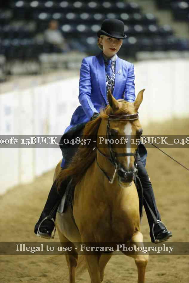 Proof 15BUCK_04837
