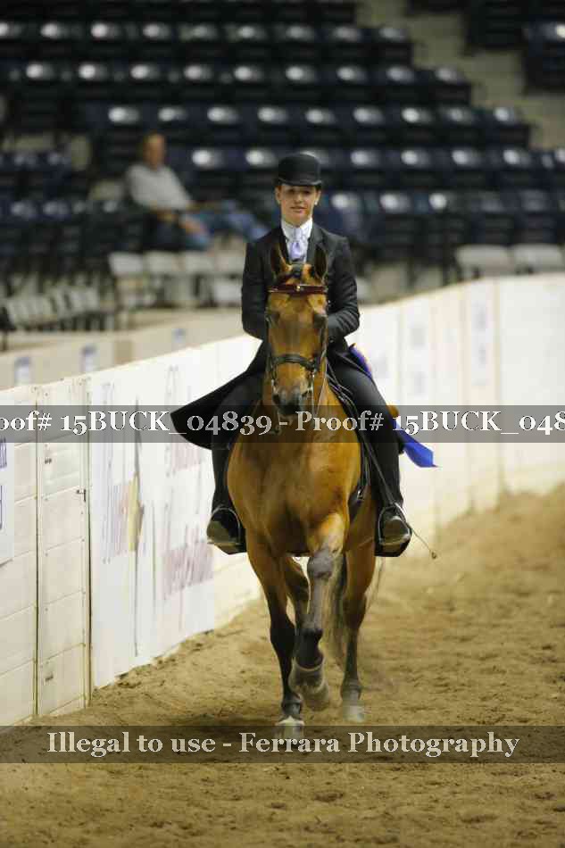 Proof 15BUCK_04839