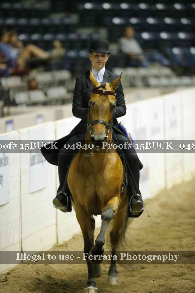 Proof 15BUCK_04840
