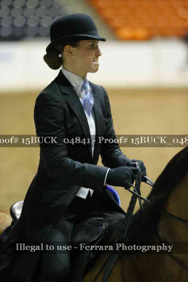 Proof 15BUCK_04841