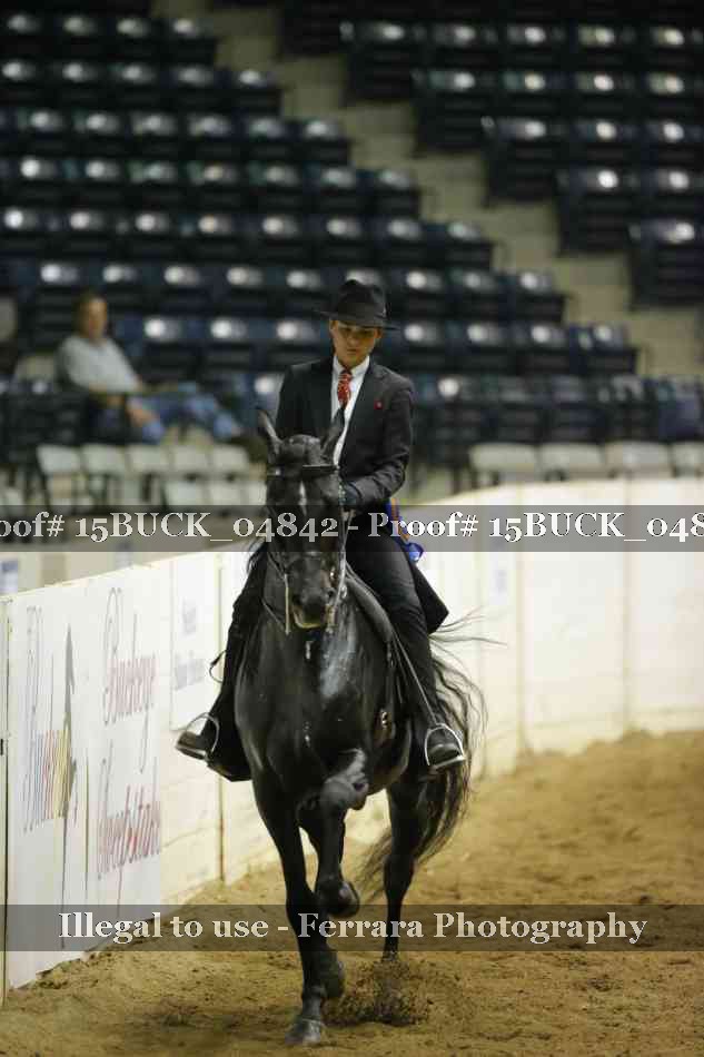 Proof 15BUCK_04842