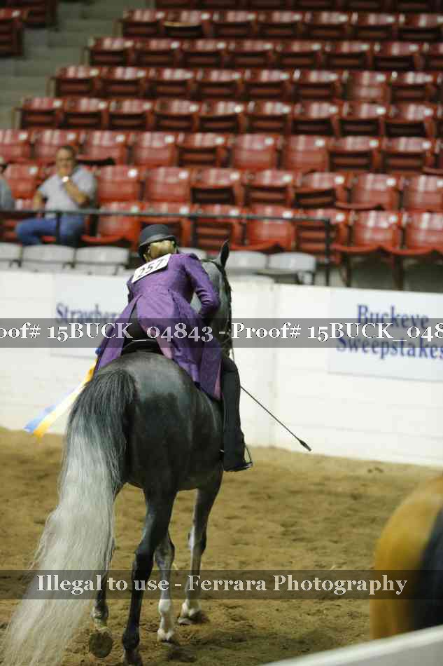 Proof 15BUCK_04843