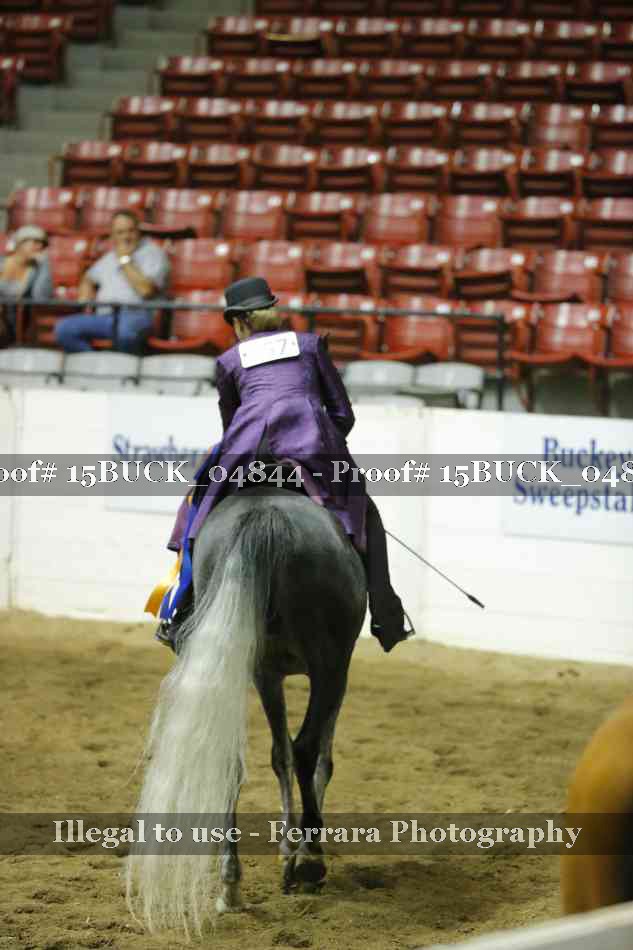 Proof 15BUCK_04844