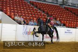 15BUCK_04846 proof