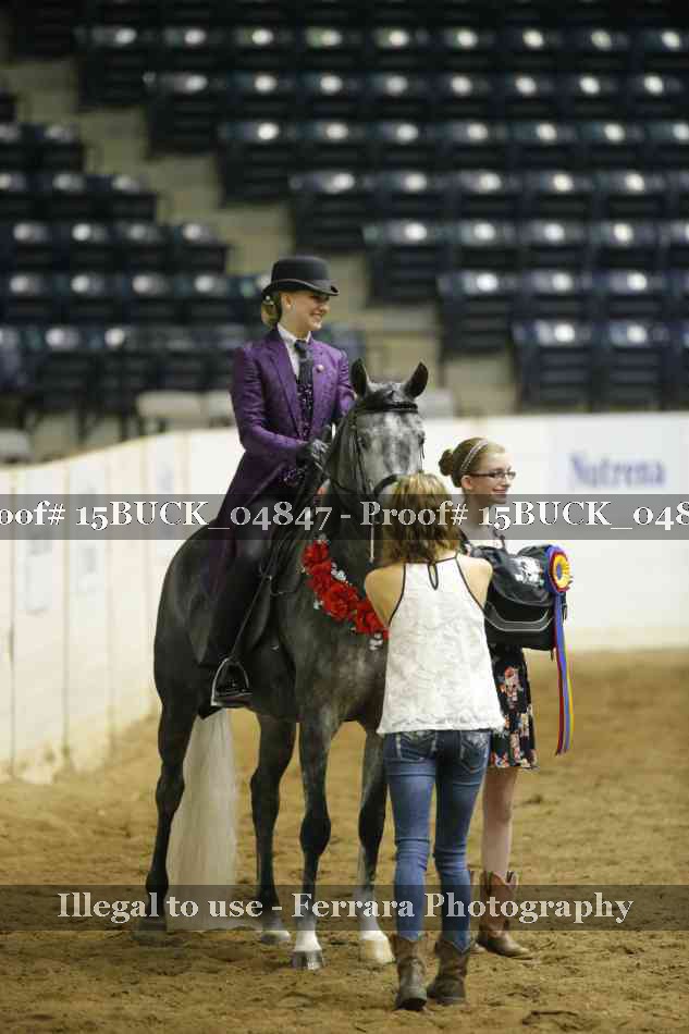 Proof 15BUCK_04847