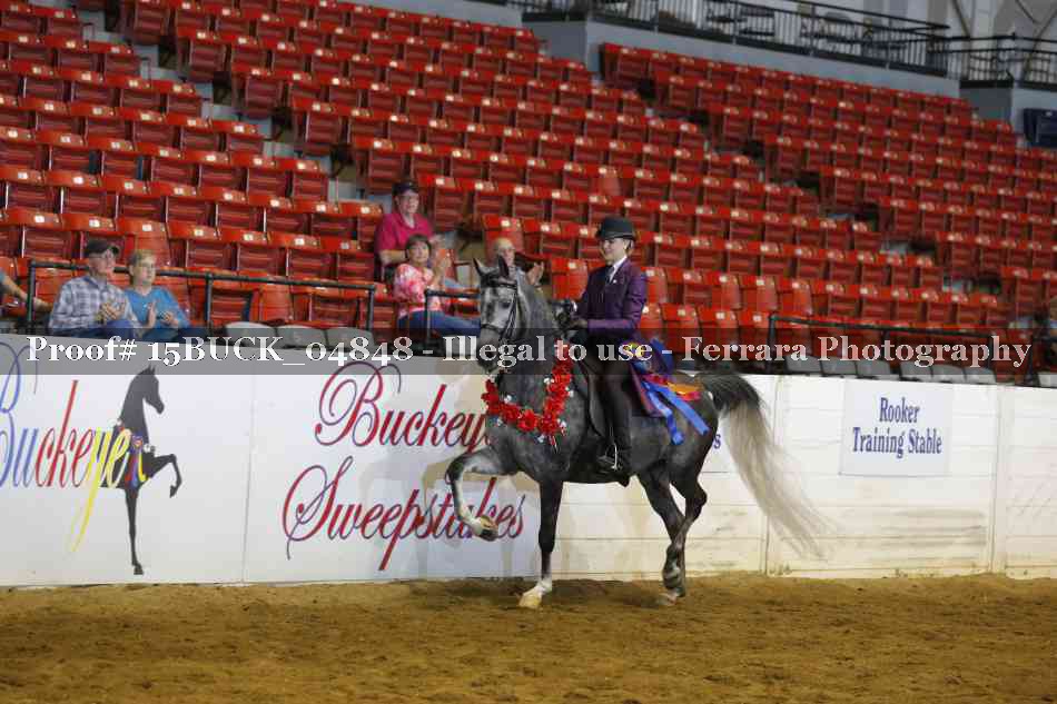 Proof 15BUCK_04848