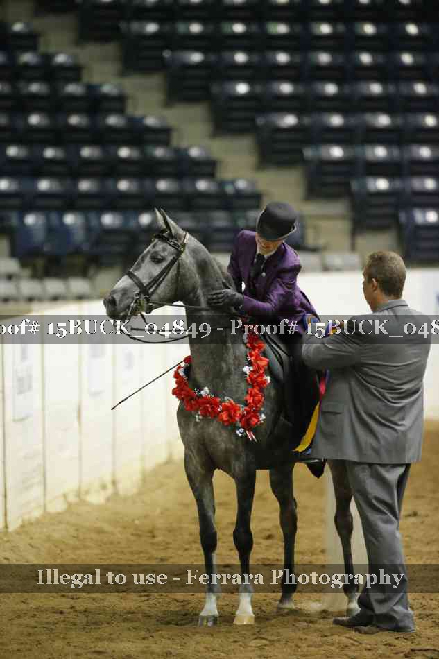 Proof 15BUCK_04849