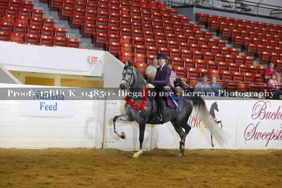 Proof 15BUCK_04850