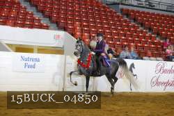 15BUCK_04850 proof