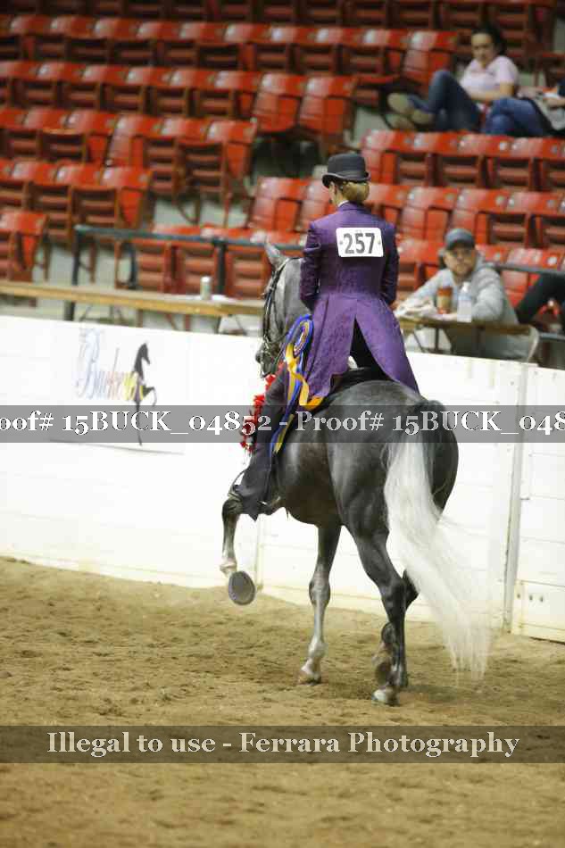 Proof 15BUCK_04852